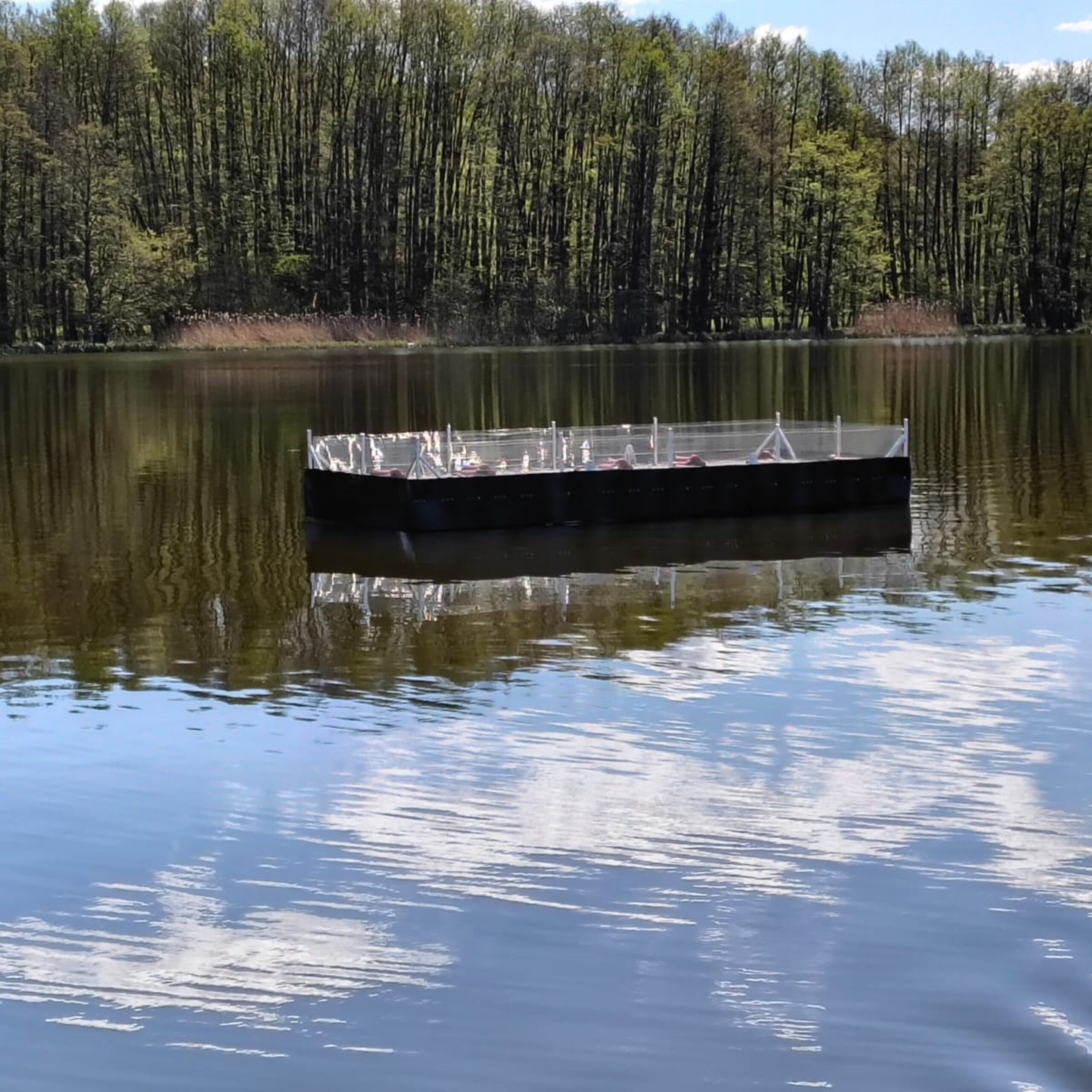Schwimmplattform als Brutfloß für Flusschwalben